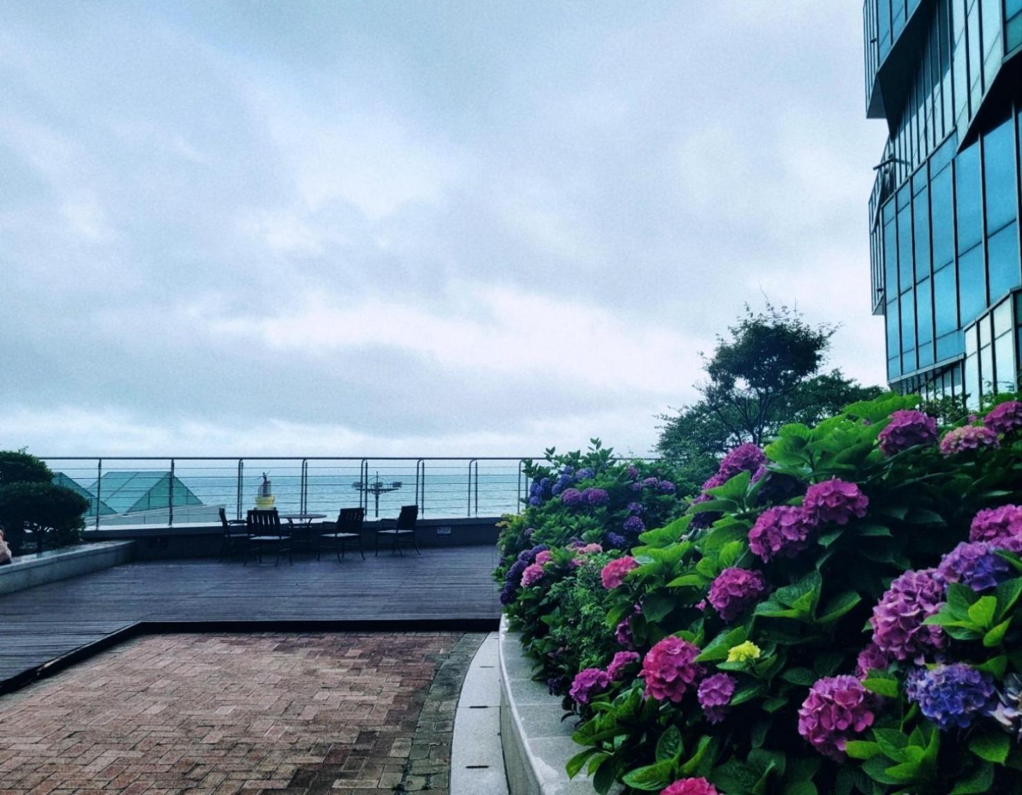 Pale De Cz Condo Пусан Экстерьер фото